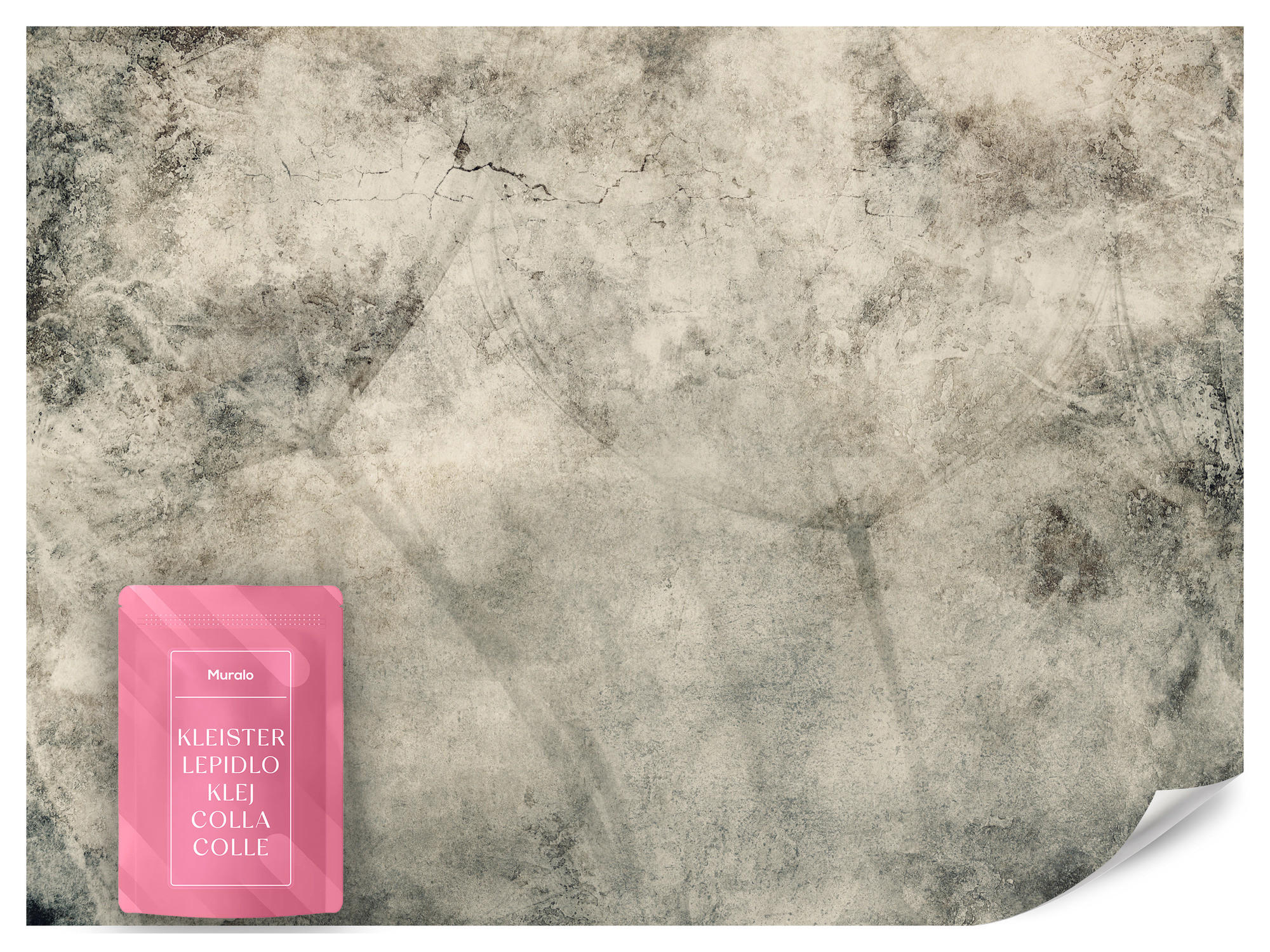 FOTOTAPETE Löwenzahnsamen Beton Vintage Stil 350x256 - Beige/Braun, Papier (350/256cm) - Muralo