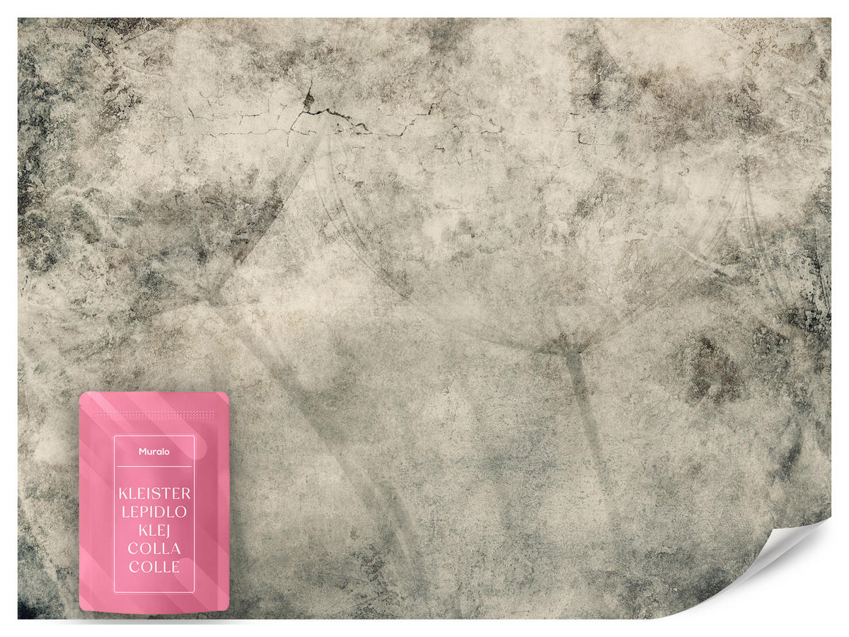 FOTOTAPETE Löwenzahnsamen Beton Vintage Stil 350x256 - Beige/Braun, Papier (350/256cm) - Muralo