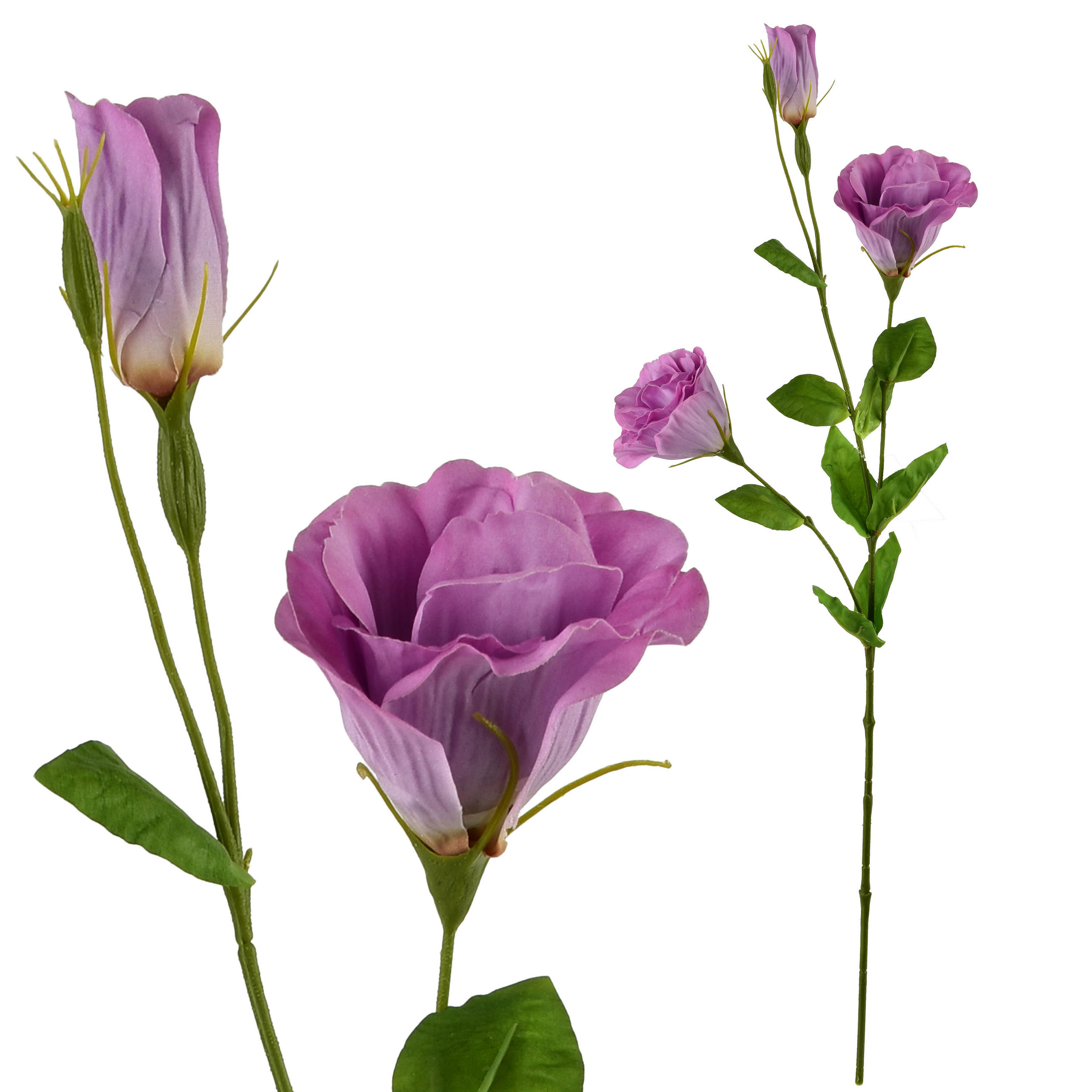 Mondex UMĚLÁ KVĚTINA, plast, violet