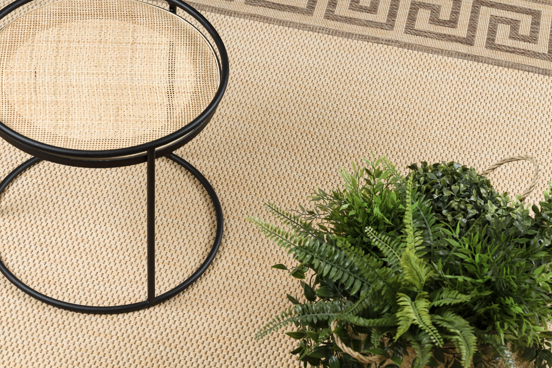 rugsX Teppich Beige 160x230 cm