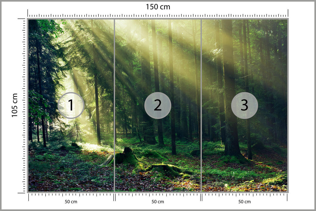 FOTOTAPETA Pre Spálňu Východ Slnka Les Stromy Mach 150 x 105 cm - hnedá/žltá, papier (150/105cm) - Muralo