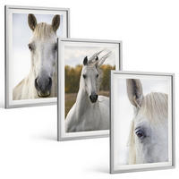 BILDER SET 3er Set - 40x60 cm Silberner Rahmen - Weiße Pferde in der Natur - Silberfarben, Kunststoff (40/60cm) - TULUP