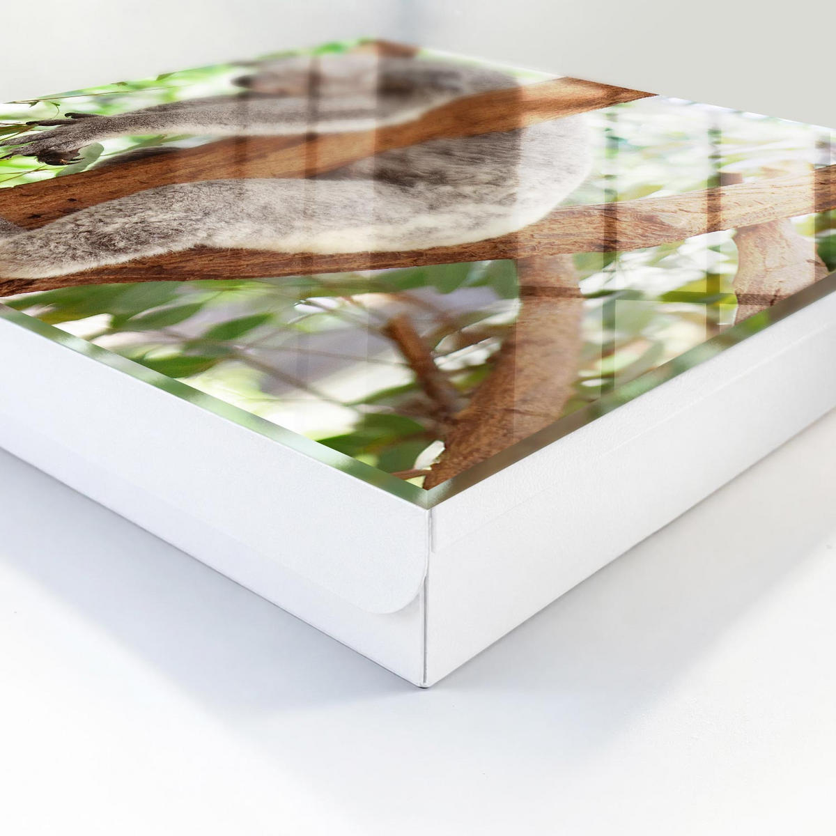 SCHLÜSSELBOX Weiß 30x30 cm – Türöffnung nach rechts - Koala-Entspannung - Grau, Metall (30/30/5cm) - TULUP