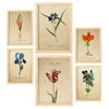 POSTER Set Mit 6 Blumen in Blau, Rot und Orange Größe A3 & A4 Rahmen aus hellem Holz - Beige, Papier (29.7/1cm) - Nacnic