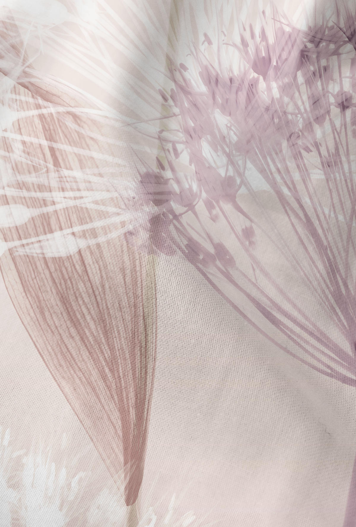 BETTWÄSCHE-GARNITUR Satin Pusteblume rose, 155x200 cm + 80x80 cm - Rosa, Textil (155/200cm) - biberna