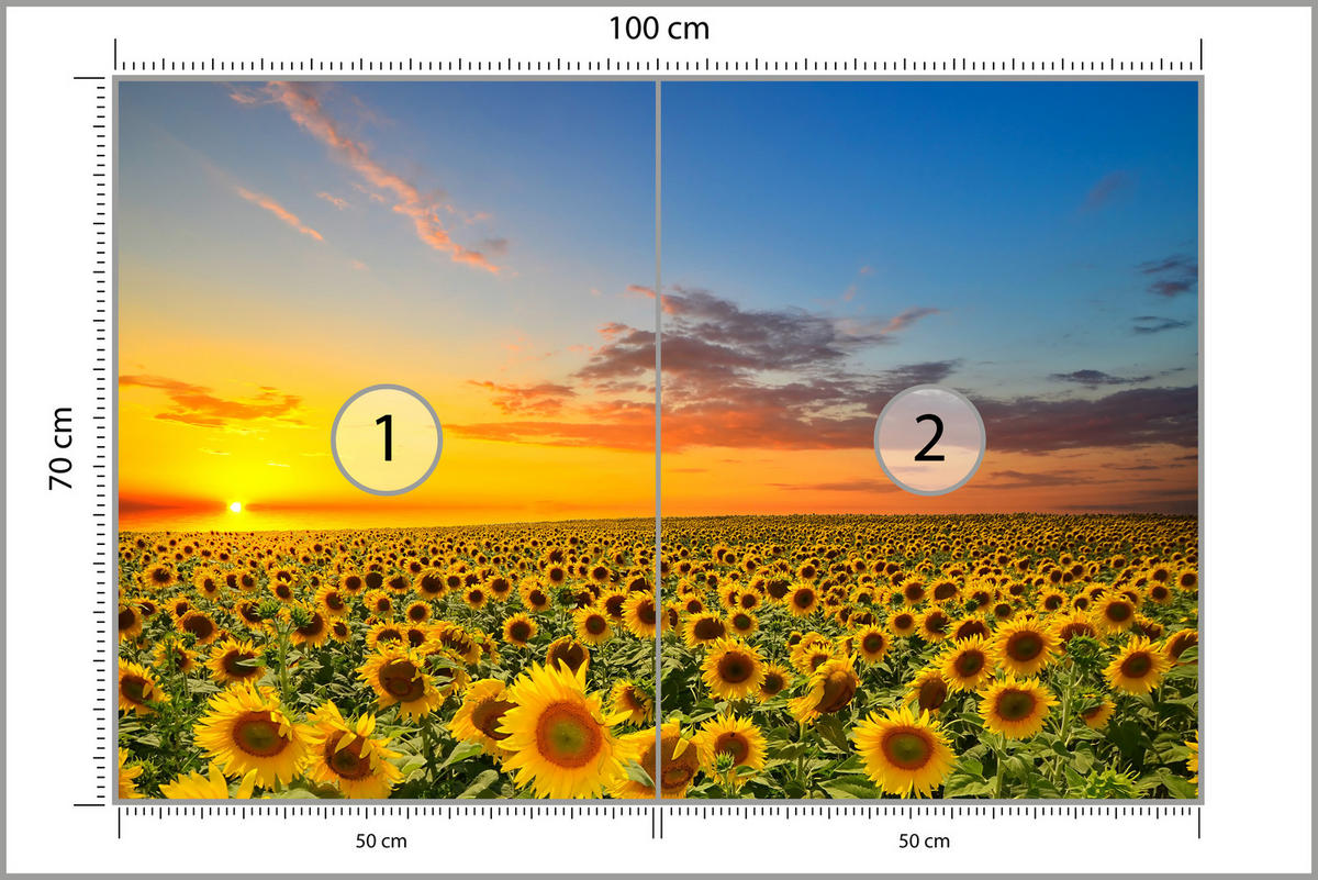 FOTOTAPETE für Küche Sonnenuntergang Sonnenblumenfeld Blumen 100x70 - Gelb/Orange, Papier (100/70cm) - Muralo