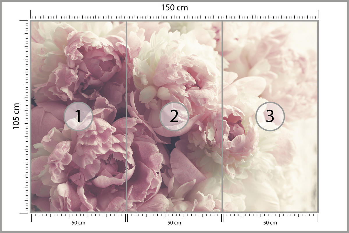 FOTOTAPETE Vintage-Pfingstrosen Blumen 3D 150x105 - Beige/Rosa, Papier (150/105cm) - Muralo