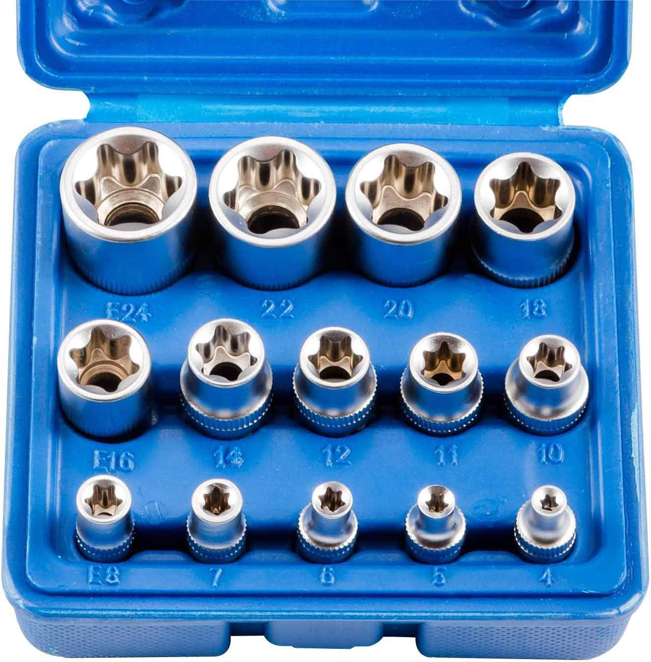 STECKSCHLÜSSELSATZ - 14-teiliger Steckschlüsselsatz Typ E in Blütenform mit Aufbewahrungsbox (blau) - Blau, Metall (13/12/5.5cm) - DCA