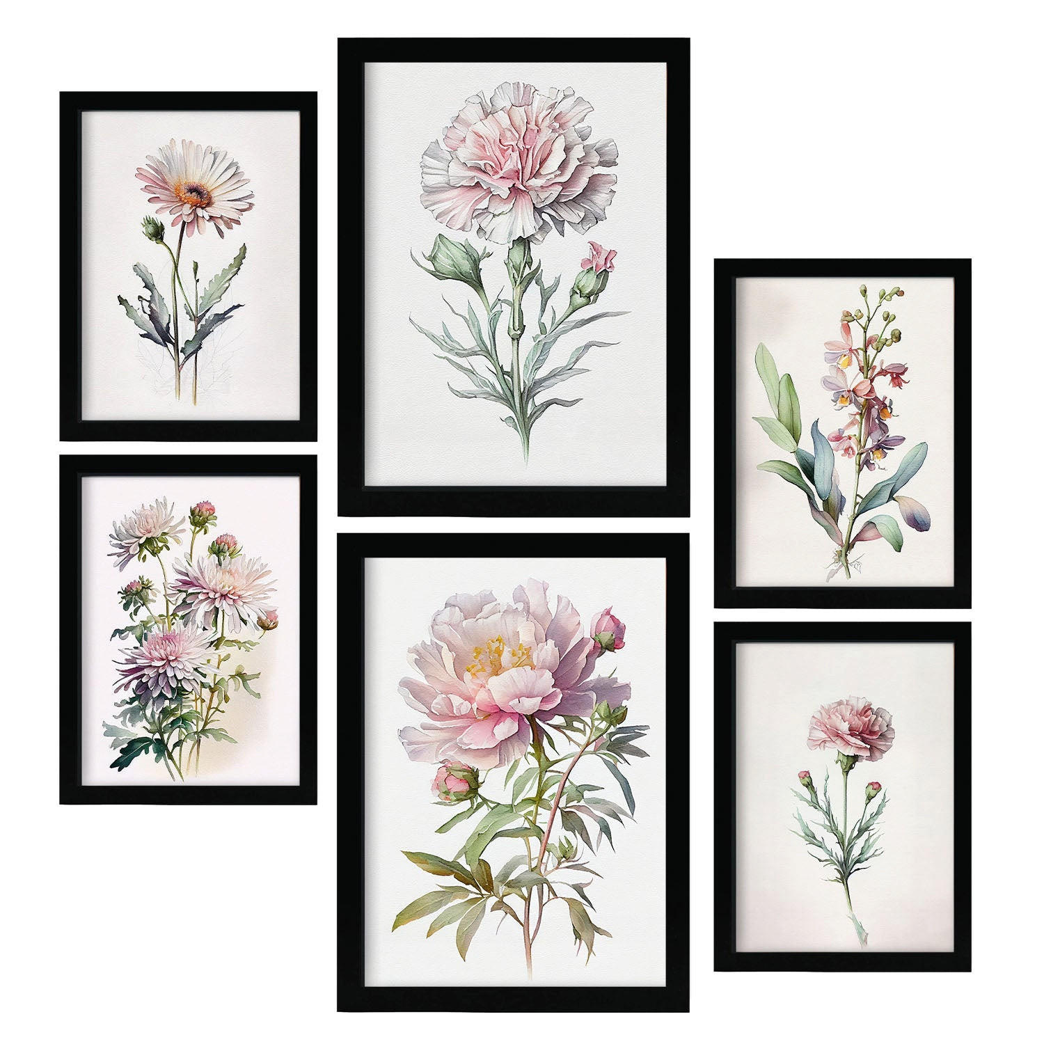 POSTER Set Mit 6 Hellrosa Blumen Vollfarbige Natur Und Botanikdrucke Mit Blumenmotiven Auf Reinweißen Hintergründen A3 & A4 Schwarzer Rahmen - Schwarz, Papier (29/3cm) - Nacnic