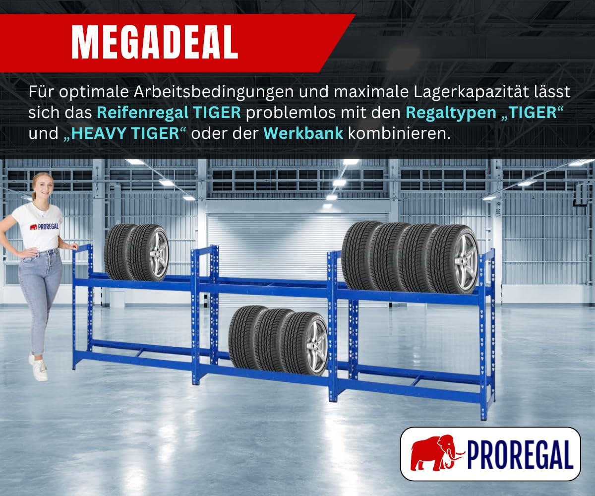 REIFENREGAL Tiger 100x110x35 cm 150 kg Fachlast bis zu 8 Reifen auf 2 Ebenen Blau - Blau, Metall (110/100/35cm) - PROREGAL