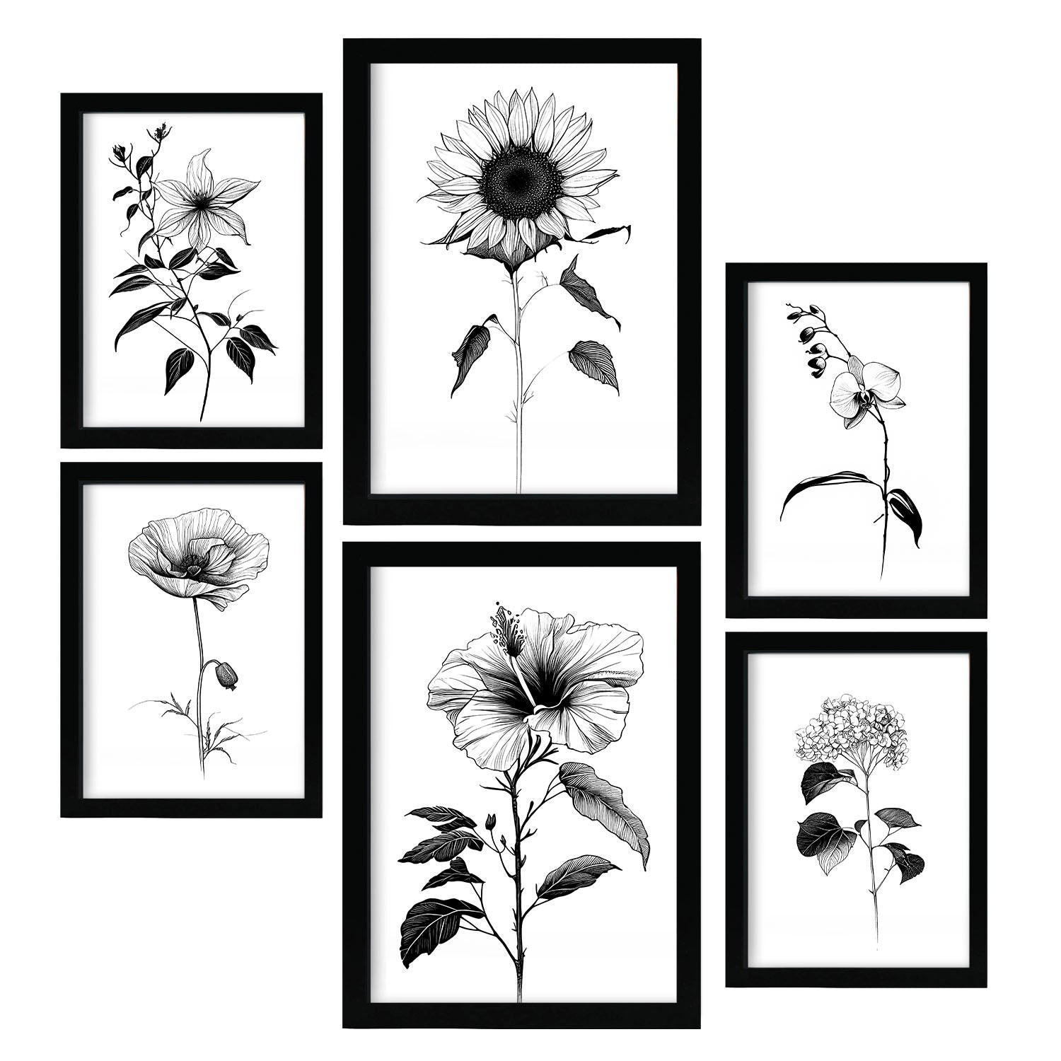 POSTER Set Mit 6 Helle Blumen Natur Und Botanikdrucke Mit Blumenmotiven In Klassischem Schwarz Und Weiß Innenarchitektur A3 & A4 Schwarzer Rahmen - Schwarz, Papier (29/3cm) - Nacnic
