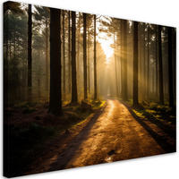 WANDBILD waldweg - Braun, Textil (60/40cm) - Feeby
