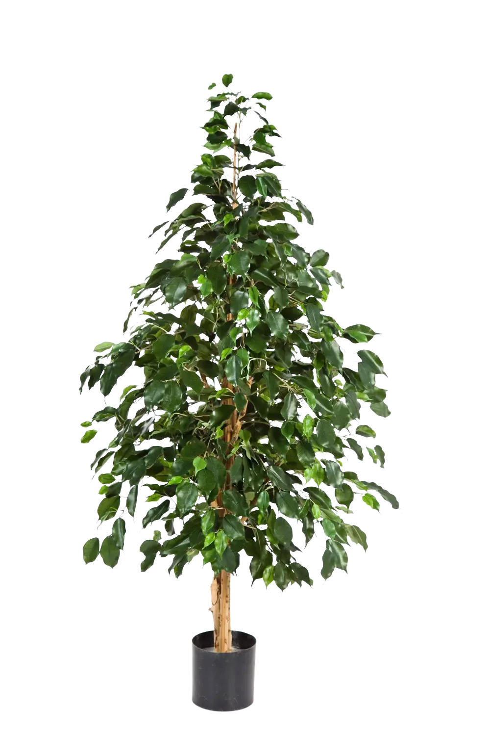 KUNSTBAUM Künstlicher Ficus - Katja 210 cm - Grün, Kunststoff (210cm) - aplanta