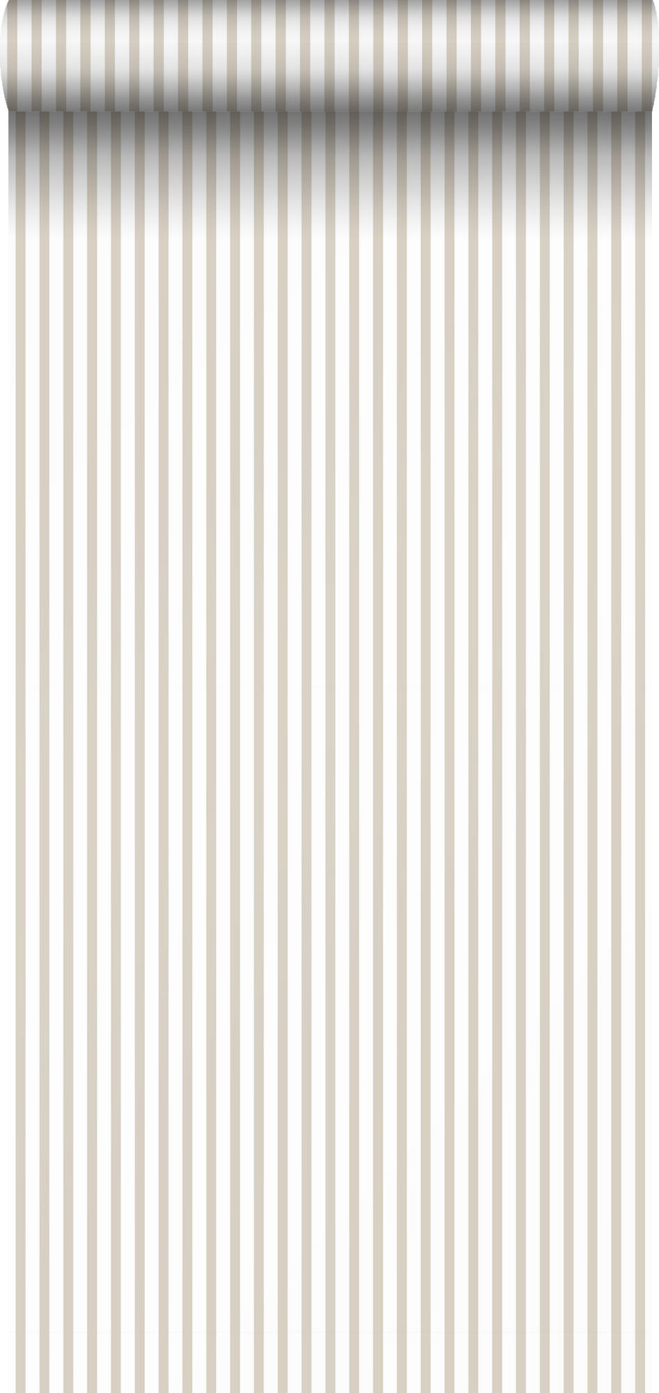TAPETE Streifen 53 cm x 10 m - Beige, Papier (53/1000cm) - Sanders & Sanders