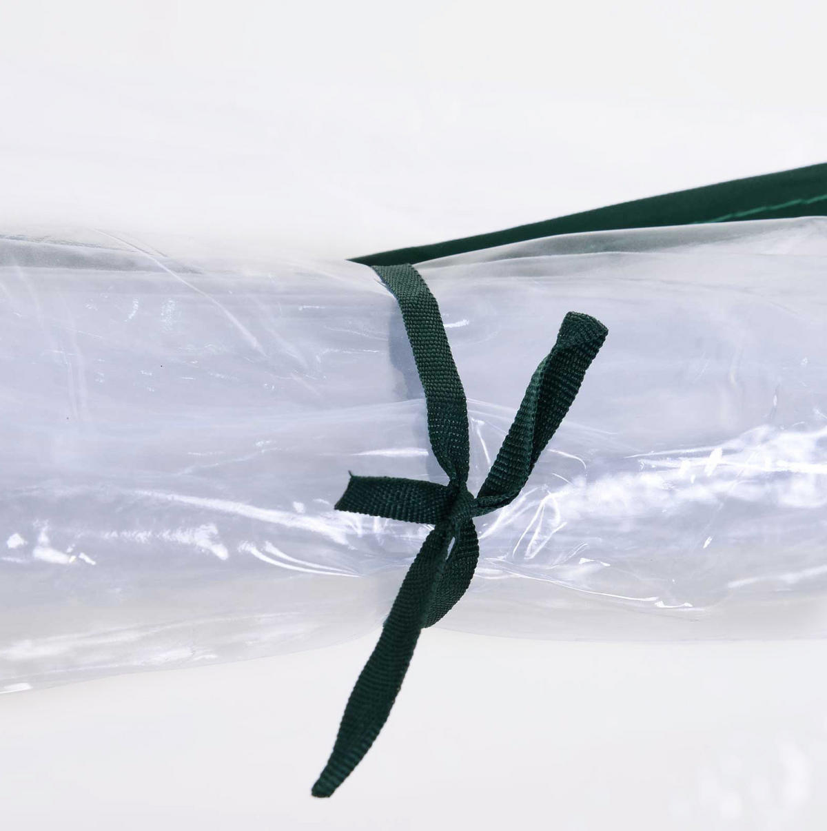 GEWÄCHSHAUS 250/80/100 cm Transparent aus Kunststoff mit Tür - Transparent, Kunststoff (100/80/250cm) - OKMYHOME