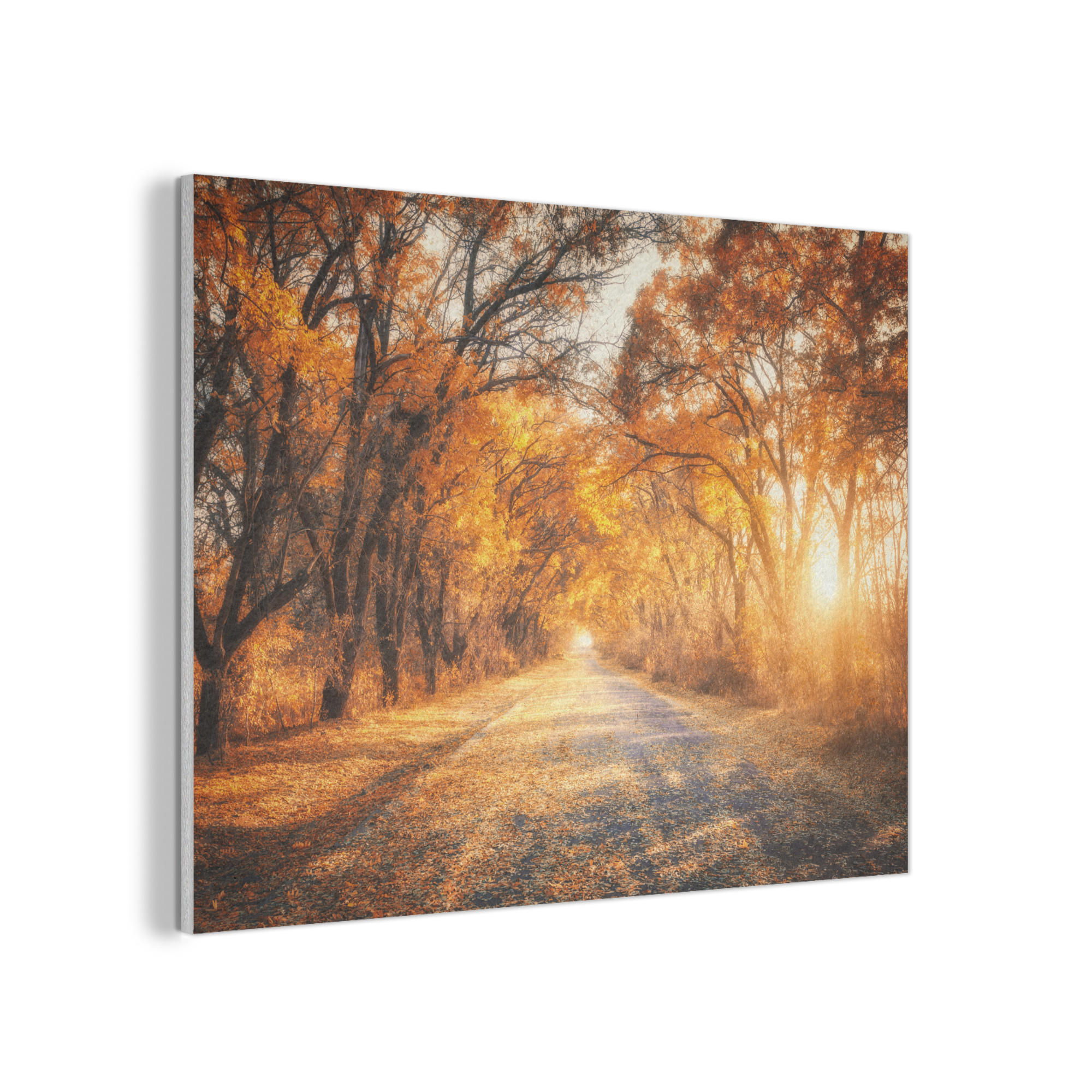 AKUSTIKPANEEL Wald - Herbst - Bäume - Waldweg - Natur 100x70 cm - Bernsteinfarben, Textil (100/0.9/70cm) - MuchoWow
