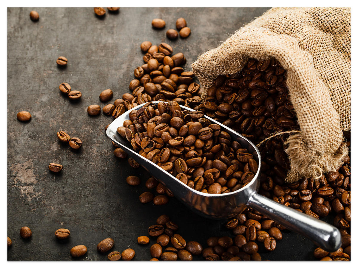 FOTOTAPETE für Küche Beutel mit Kaffeebohnen auf Beton 400x280 - Beige/Schwarz, Papier (400/280cm) - Muralo