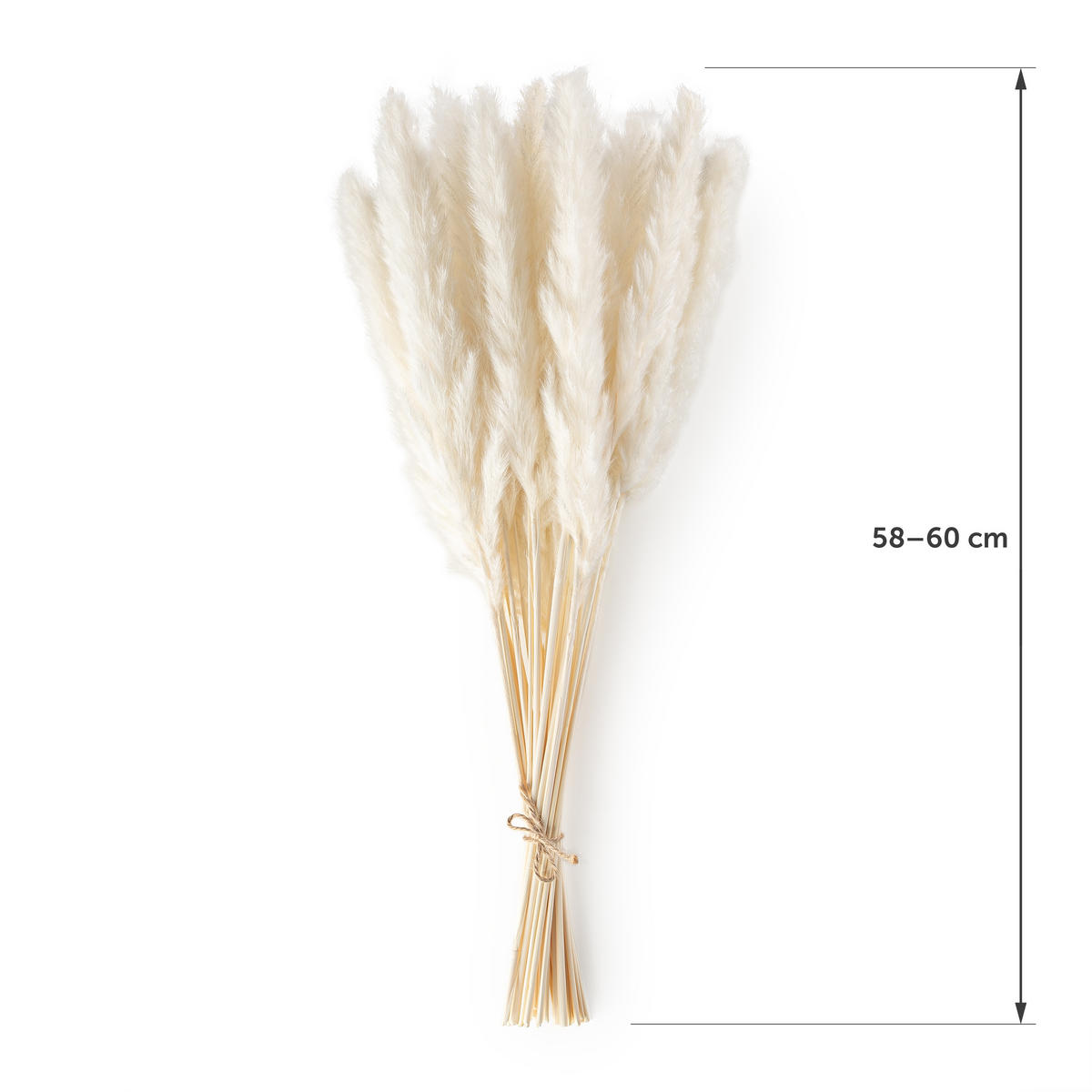 TROCKENBLUMEN - 30 Stück, 60 cm, für Trockenblumenstrauß oder Trockenblumen Deko, weiß - Weiß, Naturmaterialien (60cm) - Blumtal