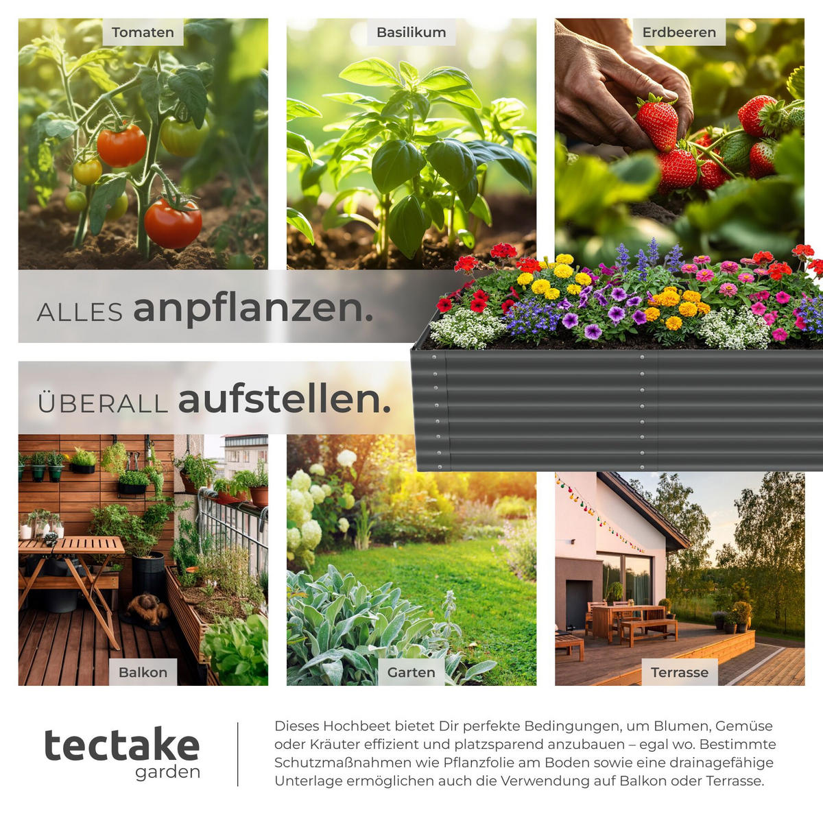 HOCHBEET Blomma, mit offenem Boden und abgerundeten Kanten, anthrazit - Anthrazit, Metall (100/62/200cm) - tectake