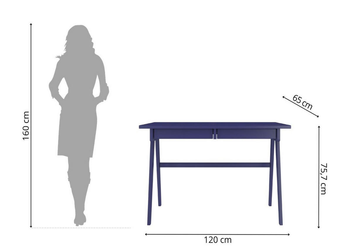 SCHREIBTISCH Edda, 120/65/75 cm in Marineblau, Buchenholz - Dunkelblau, Holz/Buchenholz (65/120/75.5cm) - Visby