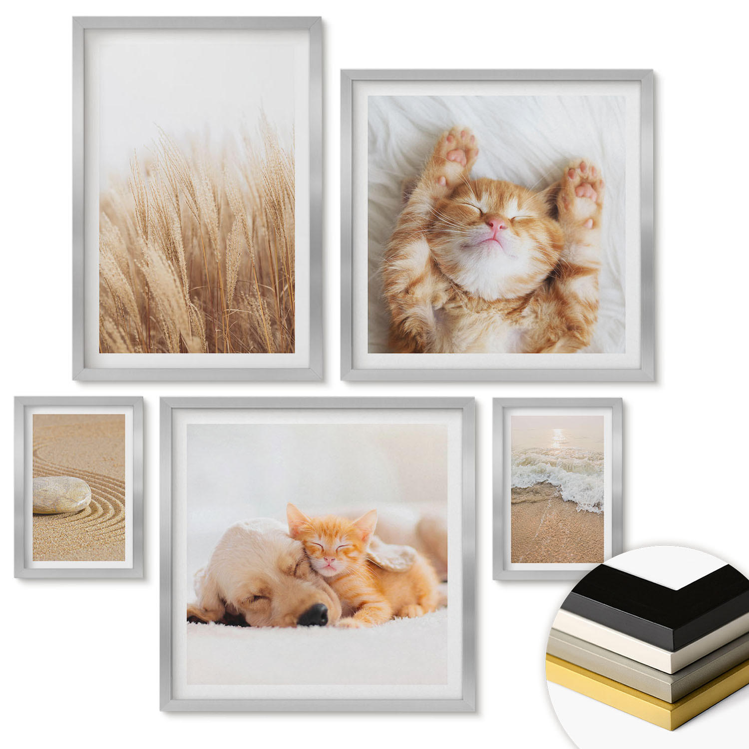 WANDBILDER 5er Set - 50x50 cm & 20x30 cm & 40x60 cm Silberner Rahmen - Niedliche Tiere, Katzen, Hunde, Strand - Silberfarben, Kunststoff (40/60cm) - ArtPrintCave