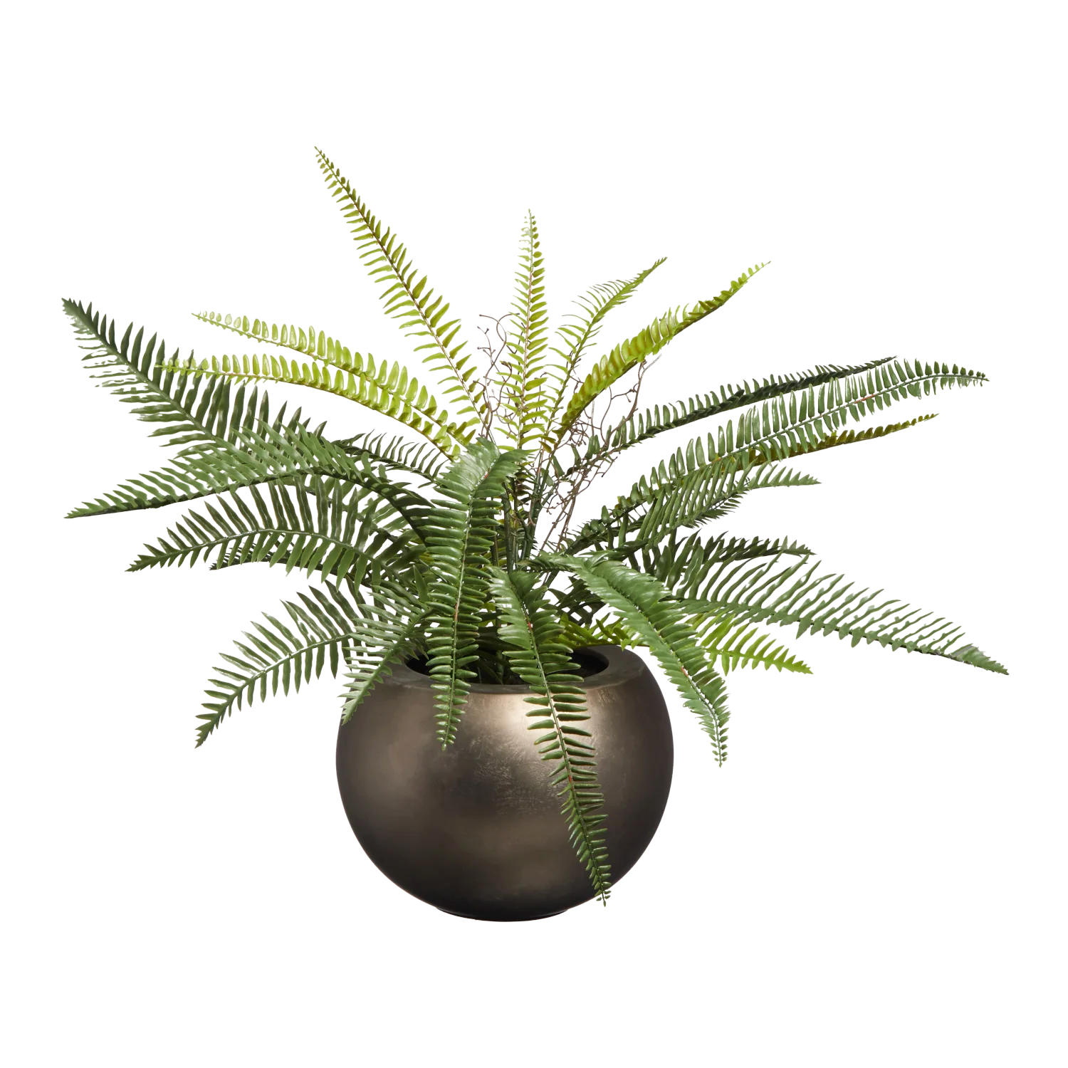 KUNSTPFLANZE Künstlicher Schwertfarn - Sen 69 cm - Grün, Kunststoff (69cm) - aplanta