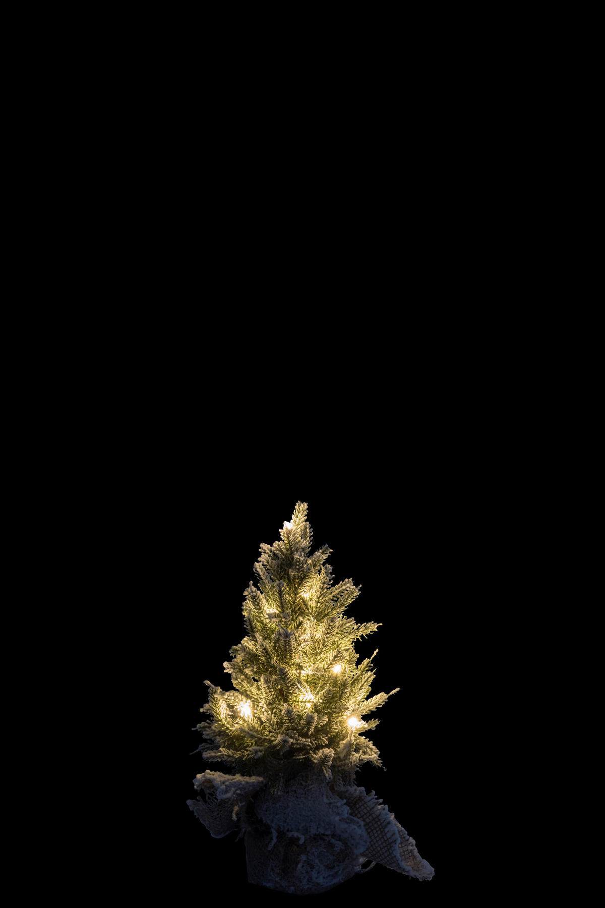 STRAUCH TANNALUX - Kunststoff - Grün - XS - LED-Lichter - Grün, Kunststoff (17.5/29.5cm) - J-Line
