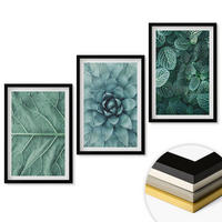WANDBILDER 3er-Set - 40x60 cm Schwarzer Rahmen - Nahaufnahme von Pflanzenblättern - Schwarz, Kunststoff (40/60cm) - ArtPrintCave