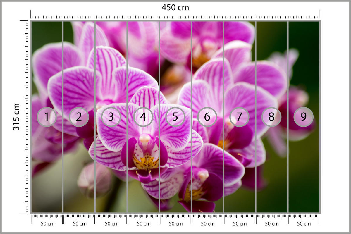 FOTOTAPETA Pre Obývaciu Izbu Kytica Fialových Orchideí 450 x 315 cm - zelená/ružová, papier (450/315cm) - Muralo