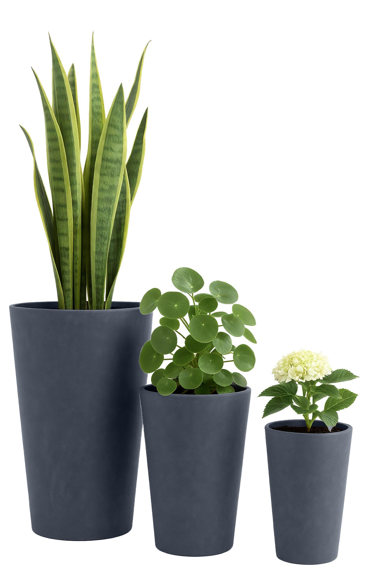 CLP Pflanzkübel Anthrazit 61 cm