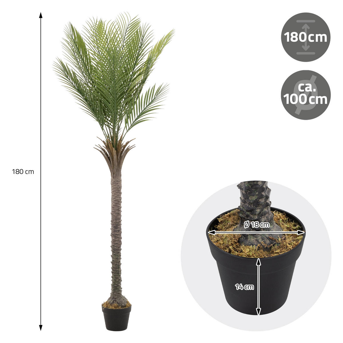 KUNSTPFLANZE Palme - Anthrazit/Grün, Holz/Kunststoff (180cm) - ML-DESIGN