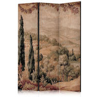 PARAVENT Einseitig Bedruckter 3-tlg 135x172 cm Retro Landschaft - Multicolor, Holz/Textil (135/172/3cm) - Muralo