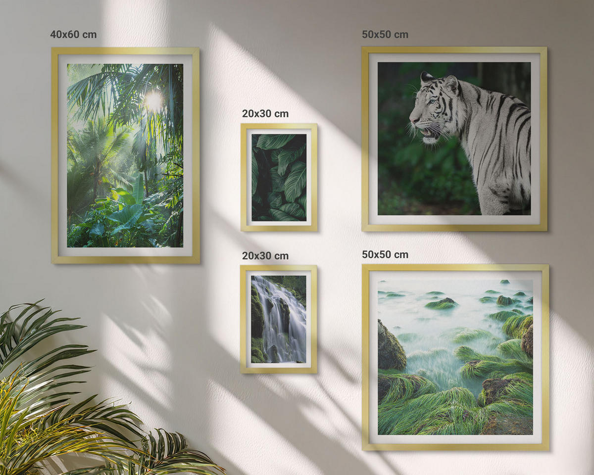 WANDBILDER 5er Set - 50x50 cm & 20x30 cm & 40x60 cm Goldrahmen - Blätter und Blüten in verschiedenen Farben - Goldfarben, Kunststoff (40/60cm) - ArtPrintCave