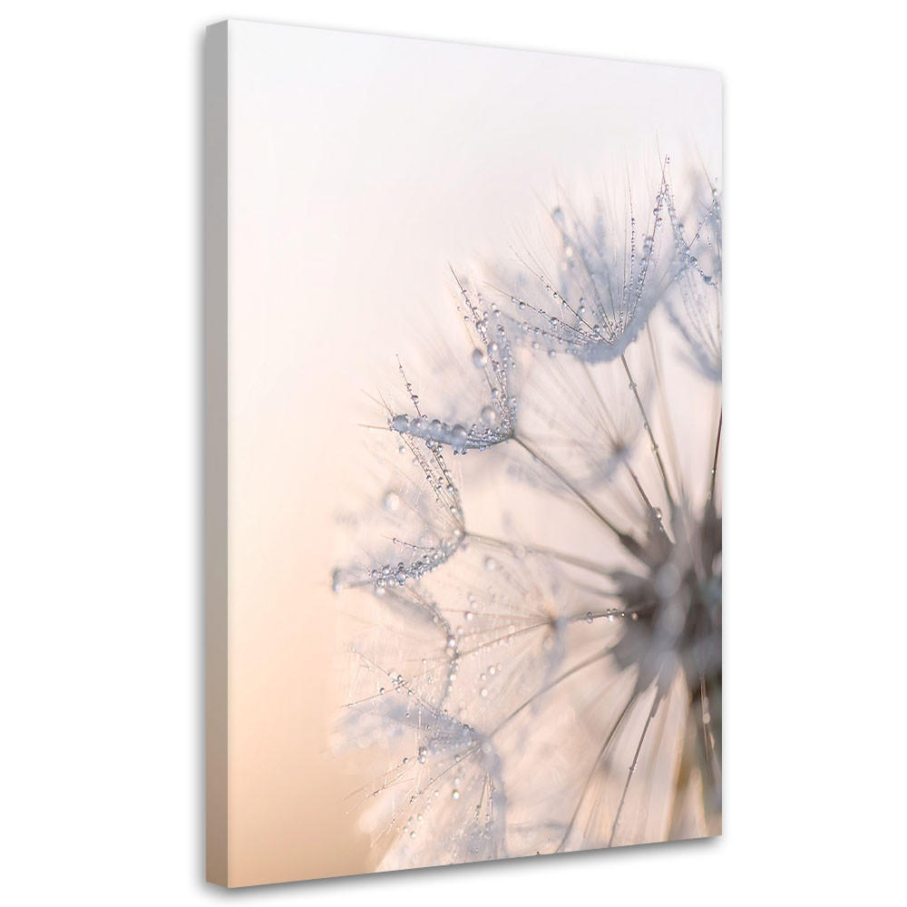 WANDBILD, Löwenzahn Pflanzen Tau Natur - Weiß, Textil (30/45cm) - Feeby