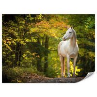 FOTOTAPETE für Schlafzimmer Weißes Pferd Wald Bäume Blätter 250x175 - Gelb/Beige, Papier (250/175cm) - Muralo