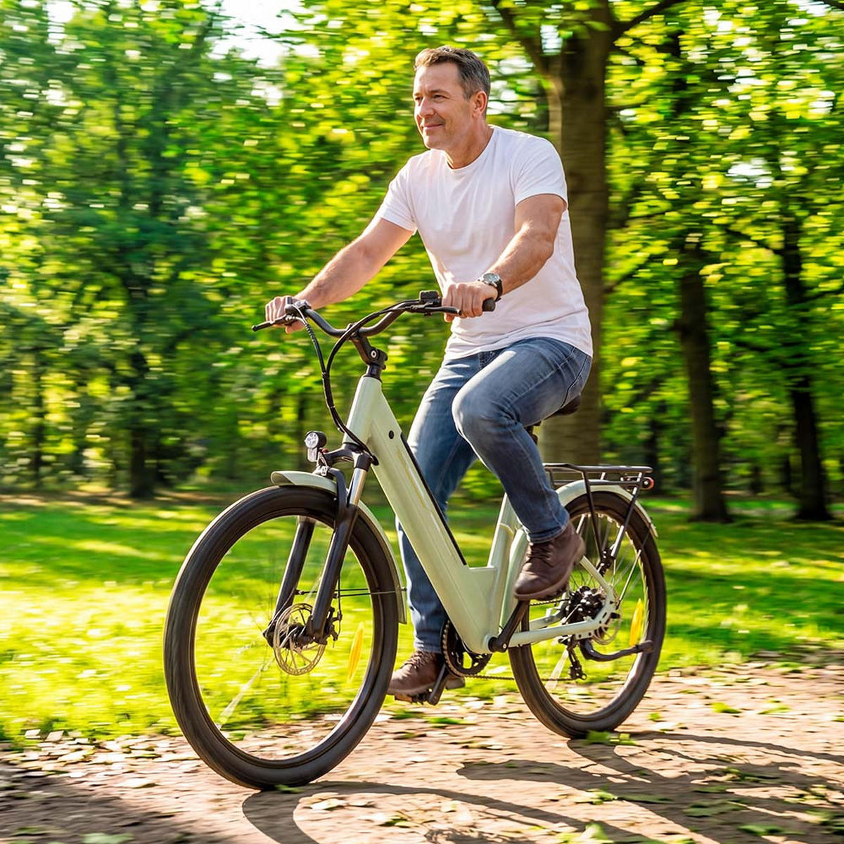 E-BIKE Grün – 100 km Reichweite, 250W Motor, Komfort & Sicherheit - Hellgrün, Metall (25cm) - Touroll