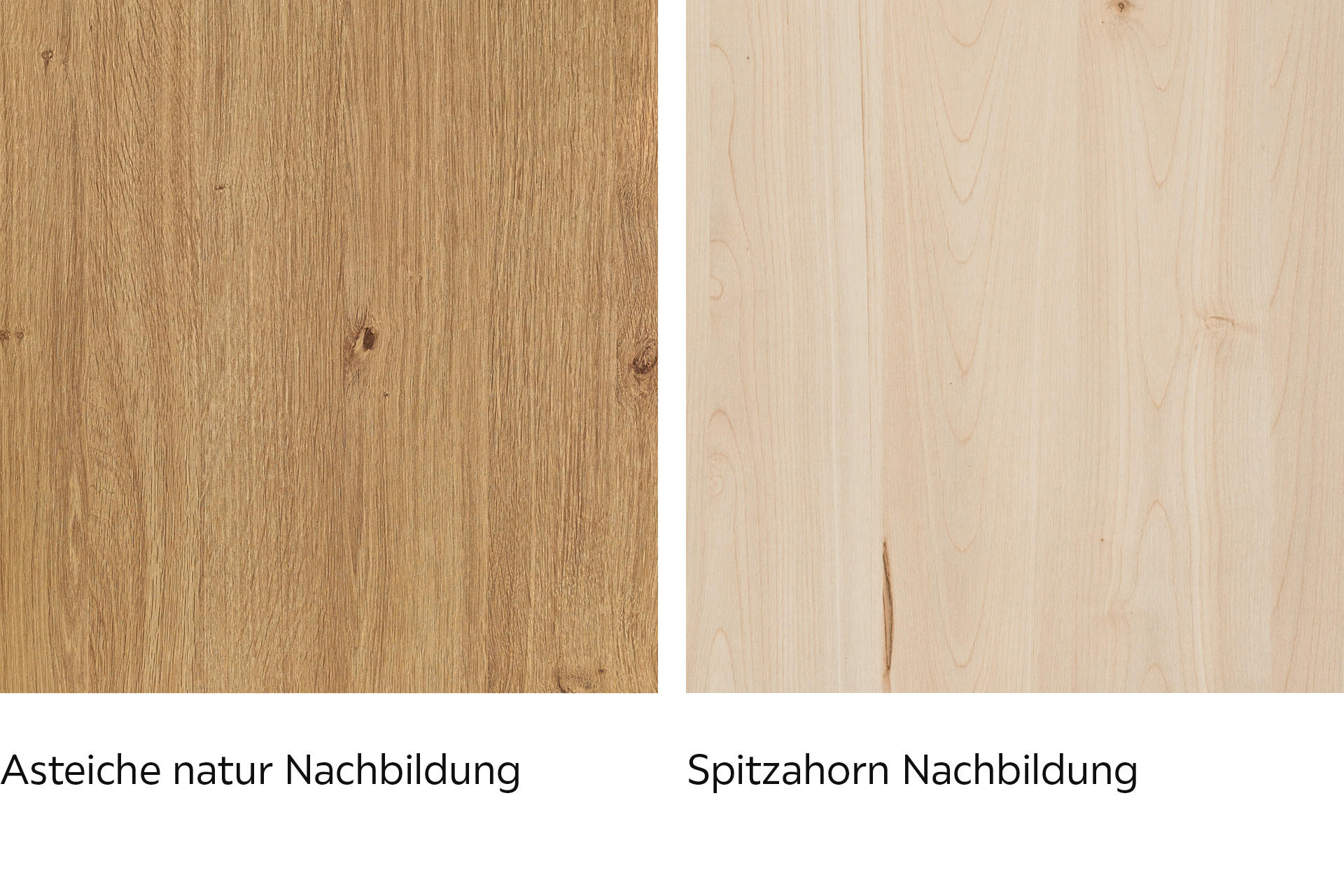 Novel Asteiche und Spitzahorn