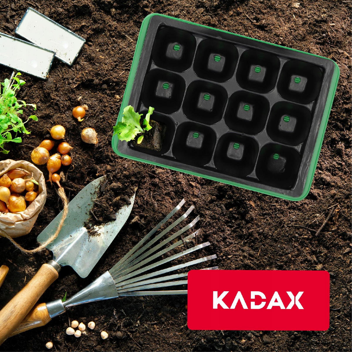 GEWÄCHSHAUS, 19 x 14 cm, Grün - Grün, Kunststoff - KADAX