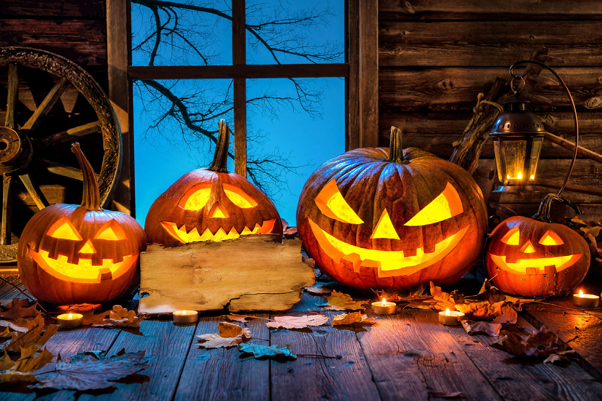 Halloween dekorace