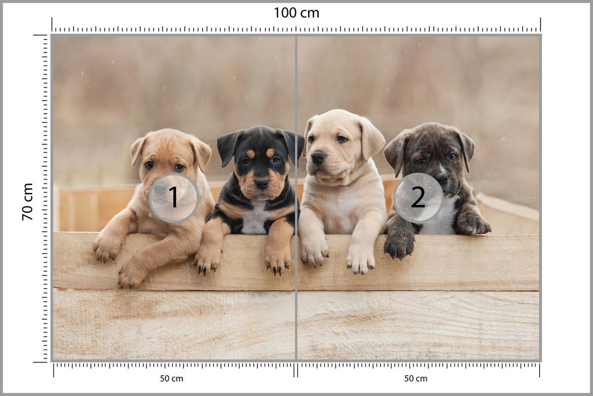 FOTOTAPETE für Kinderzimmer Süße Hunde Tiere 100x70 - Beige/Schwarz, Papier (100/70cm) - Muralo