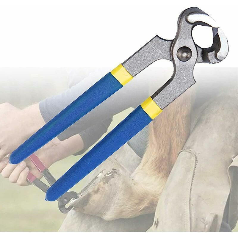 HUFZANGE – 8 Zoll – Zum Beschlagen, Hufbeschneiden und Nägelschneiden. - Blau, Metall (20/1/1cm) - DCA