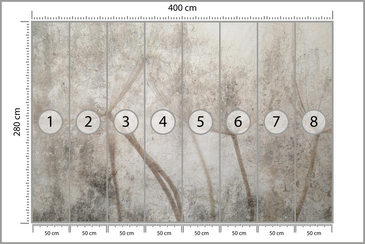 FOTOTAPETA Pre Obývaciu Izbu Jemná Skica Púpava Sivý Betón Minimalistická 400 x 280 cm - hnedá/sivá, papier (400/280cm) - Muralo