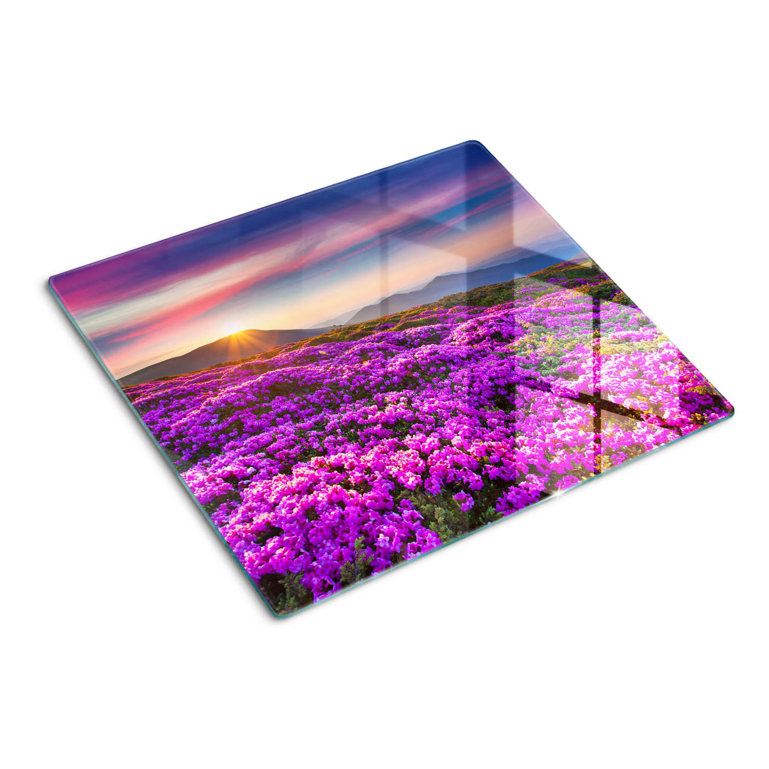 GLASPLATTE 60x52 cm Blumen in den Bergen - Lila, Glas (60/0.4/52cm) - TULUP