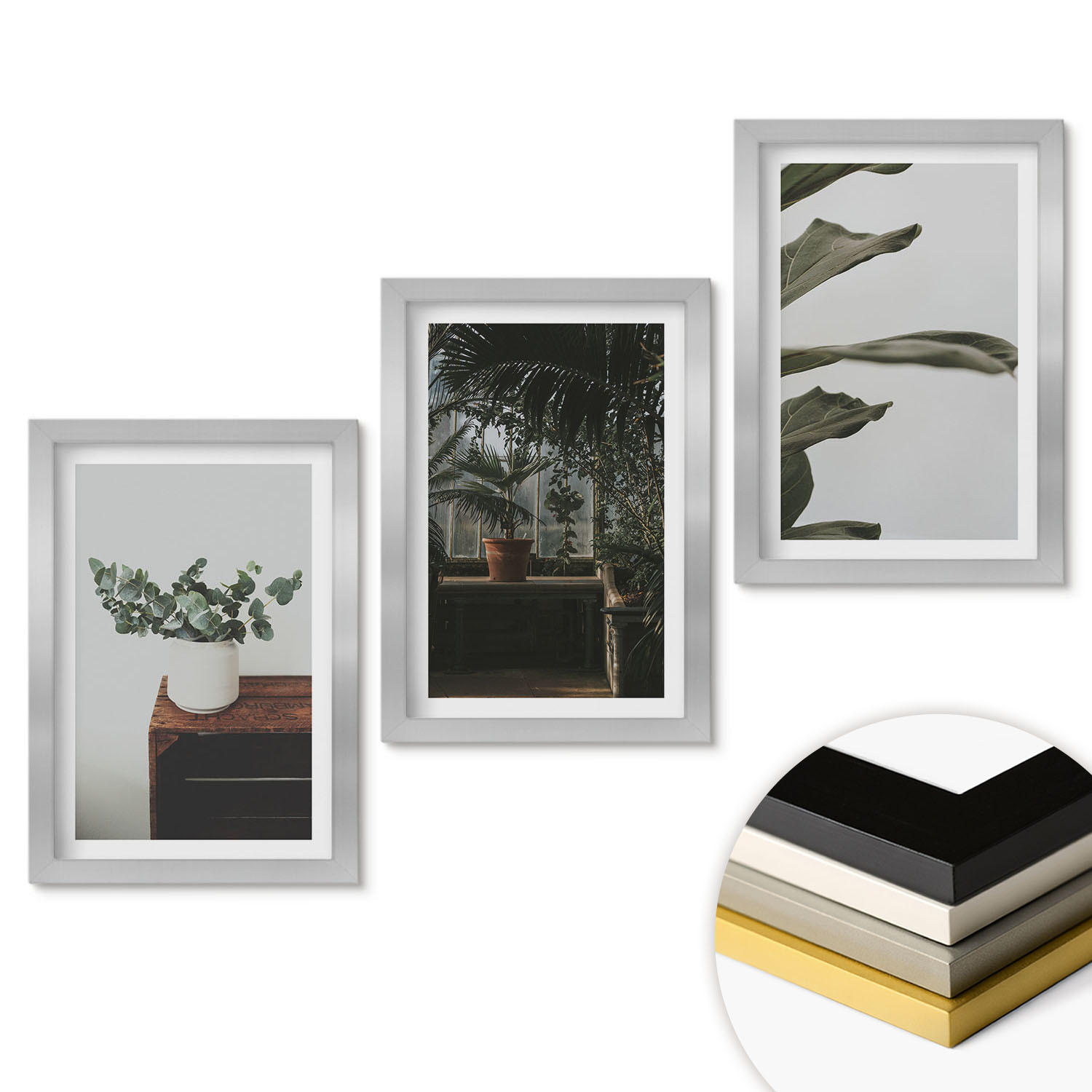 WANDBILDER 3er Set - 20x30 cm Silberner Rahmen - Rustikale Topfpflanzen - Silberfarben, Kunststoff (20/30cm) - ArtPrintCave