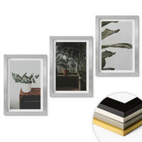 WANDBILDER 3er Set - 20x30 cm Silberner Rahmen - Rustikale Topfpflanzen - Silberfarben, Kunststoff (20/30cm) - ArtPrintCave