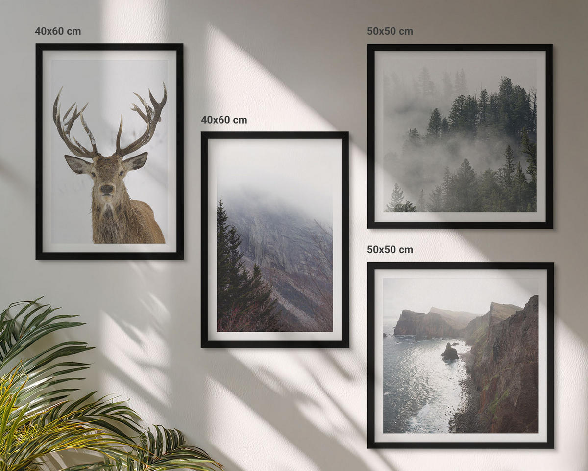 WANDBILDER 4er-Set - 50x50 cm & 40x60 cm Schwarzer Rahmen - Berglandschaft Nebel Hirsch - Schwarz, Kunststoff (50/50cm) - ArtPrintCave