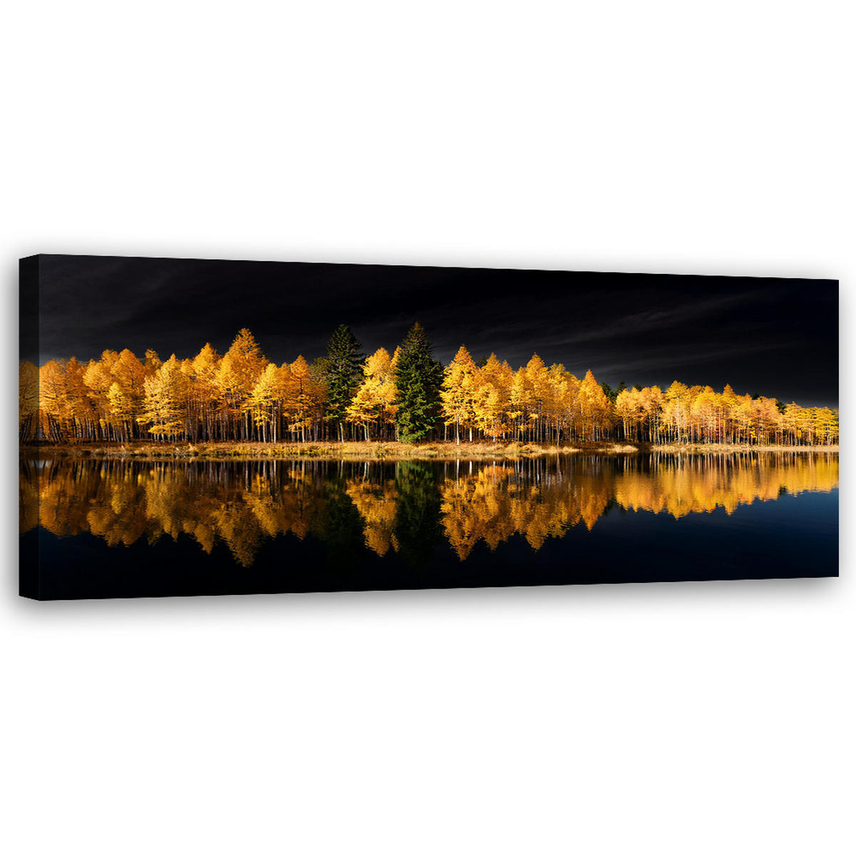 WANDBILD landschaft wald natur golden - Gelb, Textil (90/30cm) - Feeby