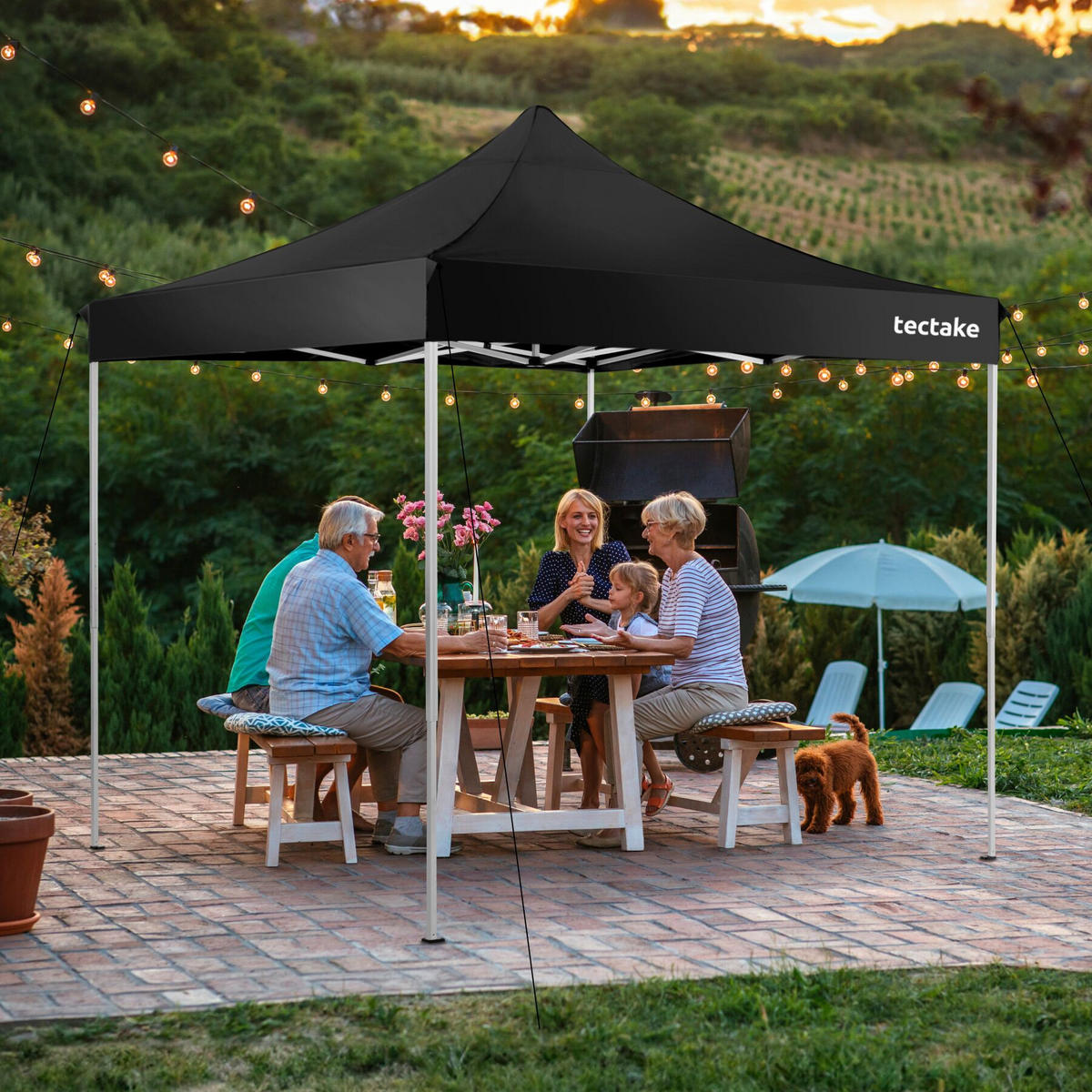 PAVILLON Olivia, inklusive Spannseilen, Heringen und Tragetasche, schwarz - Schwarz, Kunststoff (300/280/300cm) - tectake