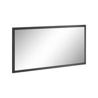 SPIEGEL Glänzendes Anthrazit 2/120/60 cm - Schwarz, Holzwerkstoff (120/60/2cm) - DMORA