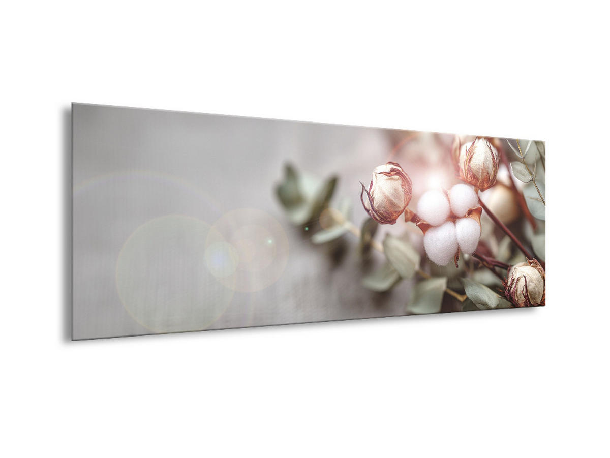 GLASBILD 80x30 cm Stillleben Natur - Beige, Glas (80/30cm) - artissimo